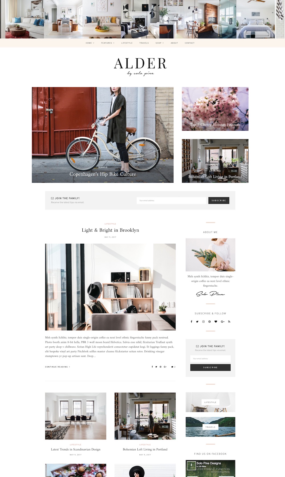 Alder WordPress theme | The best WordPress themes for bloggers