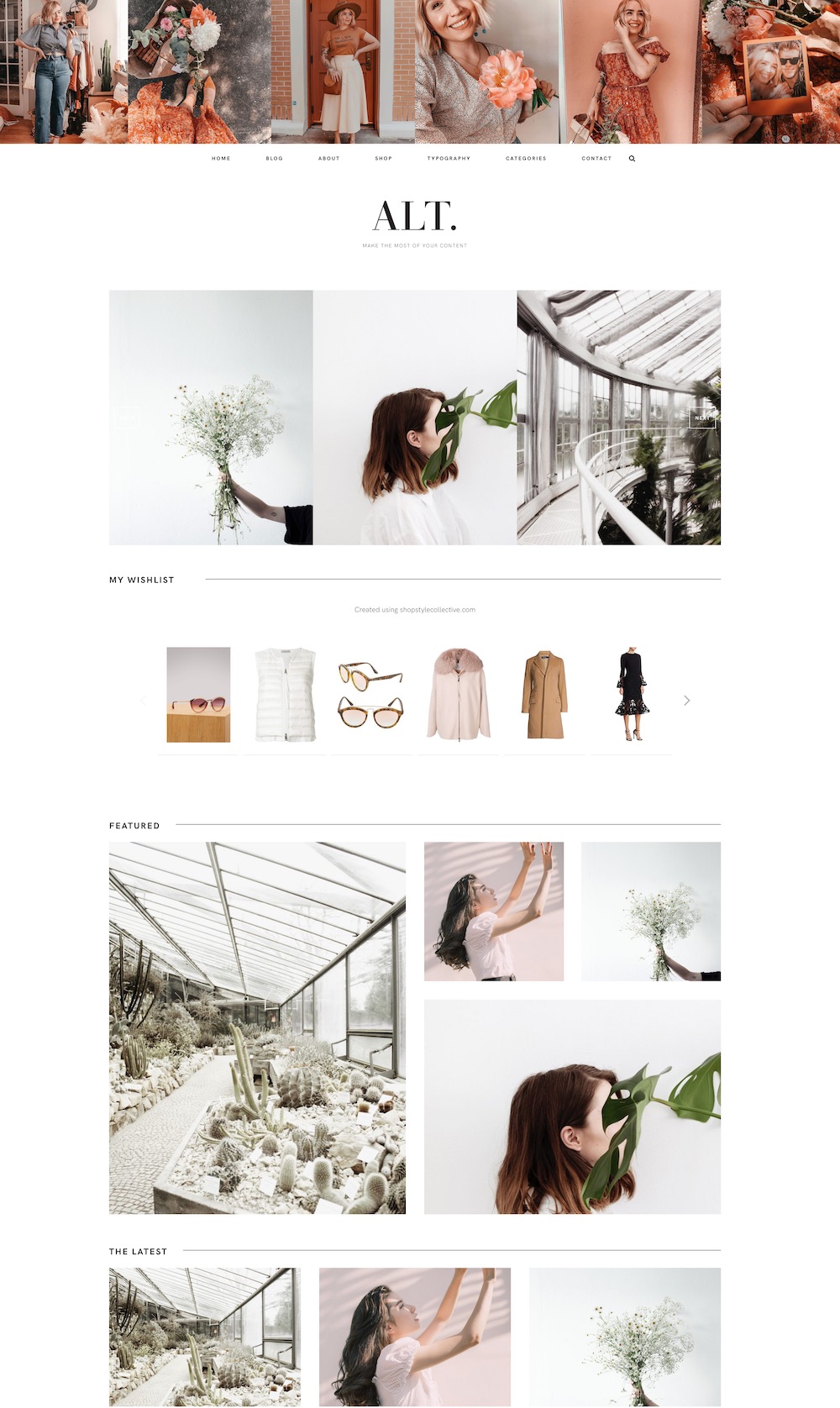 Alt WordPress theme | The best WordPress themes for bloggers
